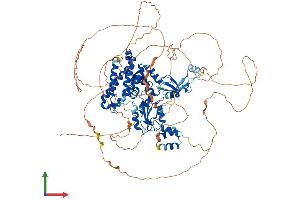 AlphaFold protein structure predicition of Mouse Recombinant Cbl Protein, UniprotID P22682