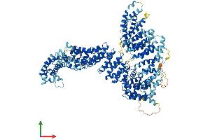 AlphaFold protein structure predicition of Mouse Recombinant Ncapg2 Protein, UniprotID Q6DFV1