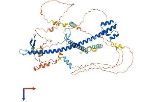 AlphaFold protein structure predicition of Human Recombinant NFE2L2 Protein, UniprotID Q16236