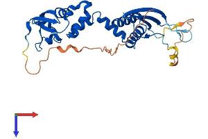 AlphaFold protein structure predicition of Mouse Recombinant Kctd7 Protein, UniprotID Q8BJK1