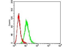 Flow cytometric analysis of Hela cells using KRT6A mouse mAb (green) and negative control (red).