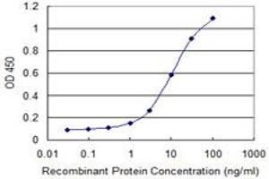 anti-Protein Phosphatase 2A 48 KDa Regulatory Subunit (PPP2R3B) (AA 1-176) antibody