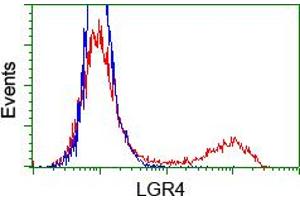 Image no. 2 for anti-Leucine-Rich Repeat Containing G Protein-Coupled Receptor 4 (LGR4) (AA 230-540) antibody (ABIN1491239) (LGR4 anticorps  (AA 230-540))