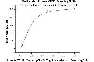 Immobilized Biotinylated Human VSIG3, Fc,Avitag (ABIN6923166,ABIN6938886) at 5 μg/mL (100 μL/well) on Streptavidin  precoated (0. (IGSF11 Protein (AA 23-241) (Fc Tag,AVI tag,Biotin))