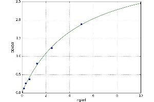 A typical standard curve (ATG7 Kit ELISA)