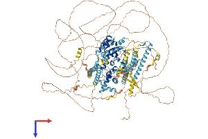 AlphaFold protein structure predicition of Human Recombinant ERCC5 Protein, UniprotID P28715
