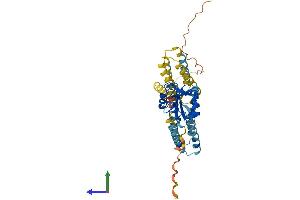 AlphaFold protein structure predicition of Human Recombinant CD209 Protein, UniprotID Q9NNX6