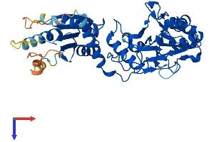 AlphaFold protein structure predicition of Mouse Recombinant Lacc1 Protein, UniprotID Q8BZT9