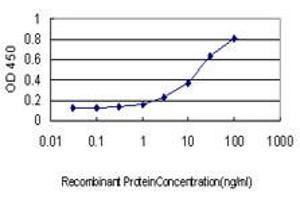 Detection limit for recombinant GST tagged HSPA2 is approximately 0.