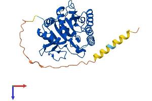 AlphaFold protein structure predicition of Human Recombinant B3GALT1 Protein, UniprotID Q9Y5Z6