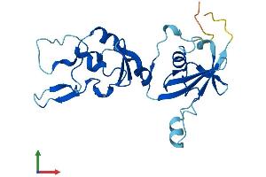 AlphaFold protein structure predicition of Mouse Recombinant Cyb5d1 Protein, UniprotID Q5NCY3