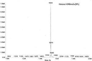 Mass Spectrometry (MS) image for Histone H3 (H3) (H3R8me2a) protein (ABIN2669564)