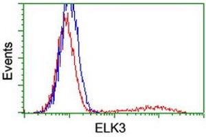 HEK293T cells transfected with either RC203114 overexpress plasmid (Red) or empty vector control plasmid (Blue) were immunostained by anti-ELK3 antibody (ABIN2455066), and then analyzed by flow cytometry. (ELK3 anticorps)