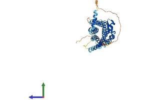 AlphaFold protein structure predicition of Mouse Recombinant Galr2 Protein, UniprotID O88854