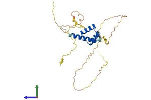 AlphaFold protein structure predicition of Mouse Recombinant Dlx1 Protein, UniprotID Q64317