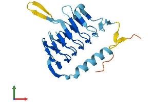 AlphaFold protein structure predicition of Mouse Recombinant Dctn5 Protein, UniprotID Q9QZB9