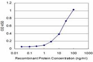 Detection limit for recombinant GST tagged PRKRIP1 is approximately 3ng/ml as a capture antibody. (PRKRIP1 anticorps  (AA 1-184))