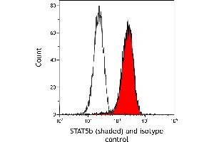 Flow Cytometry (FACS) image for anti-Signal Transducer and Activator of Transcription 5B (STAT5B) (AA 737-787) antibody (ABIN7455110) (Recombinant STAT5B anticorps  (AA 737-787))