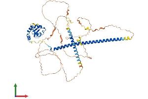 AlphaFold protein structure predicition of Mouse Recombinant Rnf168 Protein, UniprotID Q80XJ2