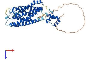 AlphaFold protein structure predicition of Mouse Recombinant Cers5 Protein, UniprotID Q9D6K9