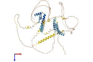 AlphaFold protein structure predicition of Human Recombinant HMGXB4 Protein, UniprotID Q9UGU5