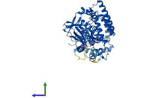 AlphaFold protein structure predicition of Mouse Recombinant Smyd1 Protein, UniprotID P97443