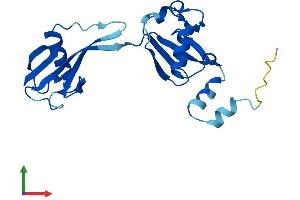 AlphaFold protein structure predicition of Mouse Recombinant Ankub1 Protein, UniprotID Q3UUE9