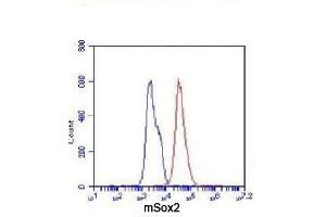 Flow Cytometry analysis of F9 cells stained with Sox2 (red, 1/100 dilution), followed by FITC-conjugated goat anti-mouse IgG.