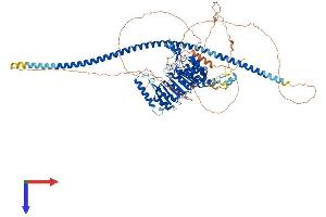 AlphaFold protein structure predicition of Mouse Recombinant Fbxo41 Protein, UniprotID Q6NS60