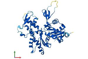 AlphaFold protein structure predicition of Mouse Recombinant Actrt2 Protein, UniprotID Q9D9L5