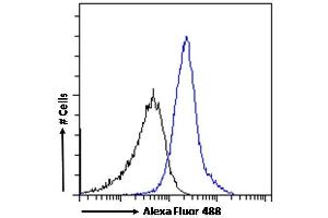 (ABIN238610) Flow cytometric analysis of paraformaldehyde fixed A431 cells (blue line), permeabilized with 0.