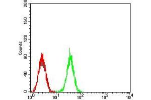 Flow cytometric analysis of K562 cells using CDC37 mouse mAb (green) and negative control (red).