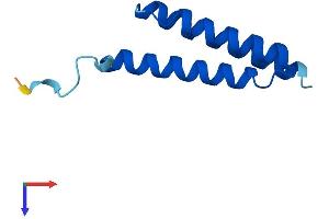 AlphaFold protein structure predicition of Mouse Recombinant Lyrm2 Protein, UniprotID Q8R033