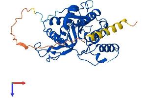 AlphaFold protein structure predicition of Mouse Recombinant B3galt1 Protein, UniprotID O54904