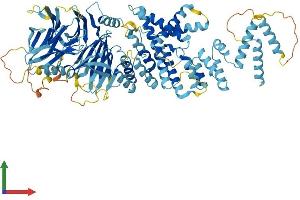 AlphaFold protein structure predicition of Human Recombinant GSAP Protein, UniprotID A4D1B5