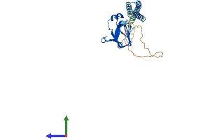 AlphaFold protein structure predicition of Human Recombinant TBCC Protein, UniprotID Q15814