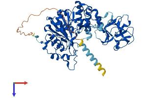 AlphaFold protein structure predicition of Human Recombinant GALNT2 Protein, UniprotID Q10471