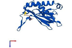 AlphaFold protein structure predicition of Mouse Recombinant Dtd2 Protein, UniprotID Q8BHA3