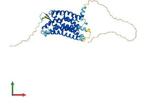AlphaFold protein structure predicition of Mouse Recombinant Aplnr Protein, UniprotID Q9WV08