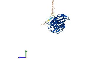 AlphaFold protein structure predicition of Human Recombinant FBXO6 Protein, UniprotID Q9NRD1