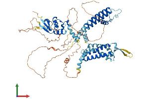 AlphaFold protein structure predicition of Human Recombinant KCNC2 Protein, UniprotID Q96PR1
