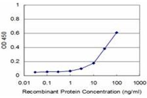 Detection limit for recombinant GST tagged MAP3K5 is approximately 3ng/ml as a capture antibody. (ASK1 anticorps  (AA 1231-1374))
