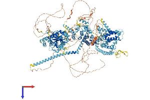 AlphaFold protein structure predicition of Human Recombinant TRPM1 Protein, UniprotID Q7Z4N2