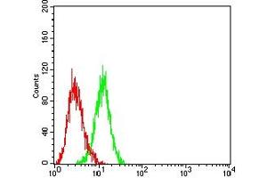 Flow cytometric analysis of HL-60 cells using CD283 mouse mAb (green) and negative control (red).