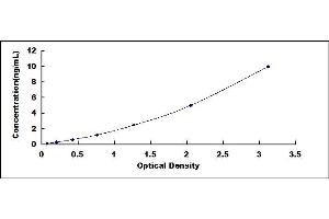 Typical standard curve