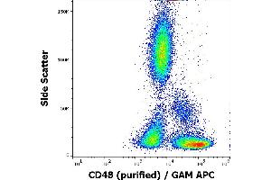 Flow cytometry surface staining pattern of human peripheral whole blood stained using anti-human CD48 (MEM-102) purified antibody (concentration in sample 3 μg/mL, GAM APC). (CD48 anticorps)
