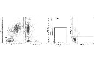 Clone B-ly4 (CD21) was analyzed by flow cytometry using a blood sample obtained from a healthy volunteer. (CD21 anticorps  (PE))