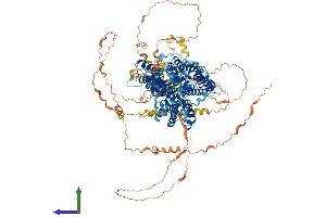 AlphaFold protein structure predicition of Human Recombinant SLC4A3 Protein, UniprotID P48751