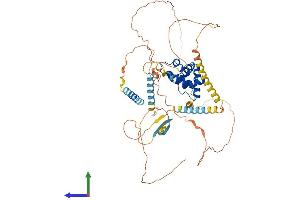 AlphaFold protein structure predicition of Human Recombinant ARID3A Protein, UniprotID Q99856