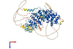 AlphaFold protein structure predicition of Human Recombinant PKP1 Protein, UniprotID Q13835